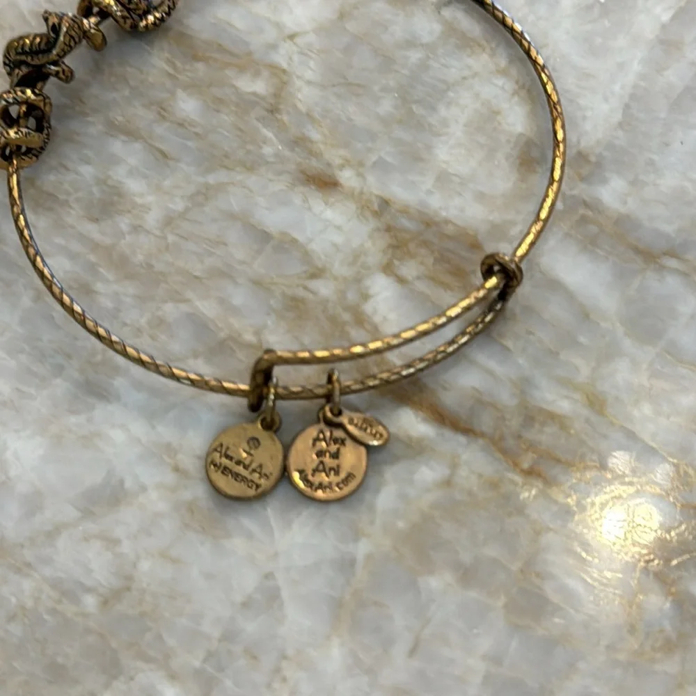 Alex and Ani serpent bracelet, dark gold with textured band.
